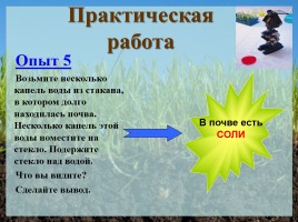 Урок окружающего мира в 3 классе «Почвы», слайд 8