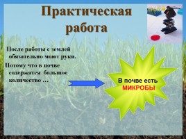 Урок окружающего мира в 3 классе «Почвы», слайд 9