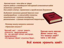 Красная книга Ростовской области - Животные, слайд 2