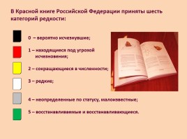 Красная книга Ростовской области - Животные, слайд 4