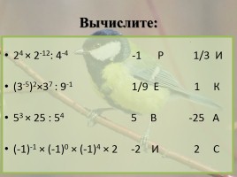 Интегрированный урок «Годовой жизненный цикл и сезонные явления в жизни птиц», слайд 19