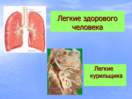 Внеклассное мероприятие для уч-ся 9 классов «Путешествие в страну Атлантида!», слайд 42