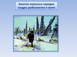 Природные зоны России: Тундра, слайд 23