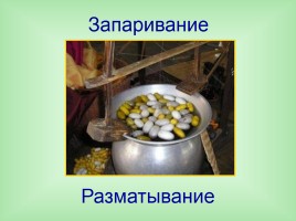 Урок-исследование «Натуральные волокна животного происхождения», слайд 22