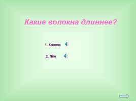 Урок-исследование «Натуральные волокна животного происхождения», слайд 7