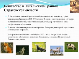 Бешенство - Rabies, слайд 49