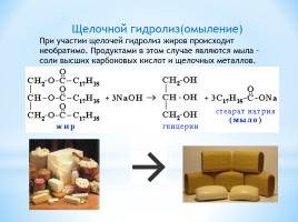 По химии на тему «Жиры», слайд 8