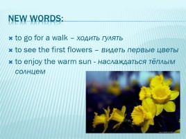 Speaking about seasons and the weather, слайд 8