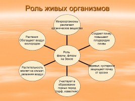 Растительный и животный мир России, слайд 16