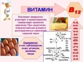 Лекция №6 «Биологически активные вещества», слайд 18