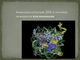 Лекция №5 «Нуклеиновые кислоты - АТФ», слайд 26