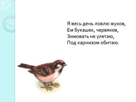 Словарные слова 3 класс «Животные и птицы», слайд 7