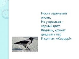Словарные слова 3 класс «Животные и птицы», слайд 9