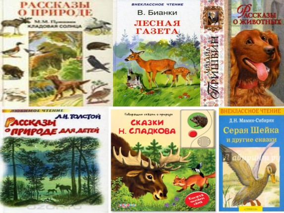 Презентация Проект по литературному чтению «Природа и мы»