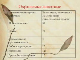 Красная книга Нижегородской области, слайд 4
