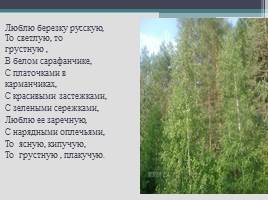 Живая и неживая природа - Владимирский край, слайд 11