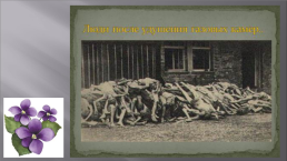 Холокост. 1945-2021. 76 Годовщине со дня освобождения узников Освенцима посвящается, слайд 19