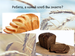 Откуда к нам пришел хлеб, слайд 23