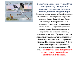 Экономико - географическое положение и природно – ресурсный потенциал республики Саха (Якутия), слайд 29