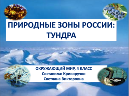 Природные зоны россии: Тундра. Окружающий мир, 4 класс, слайд 1