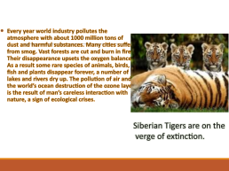 Ecology problems, слайд 5