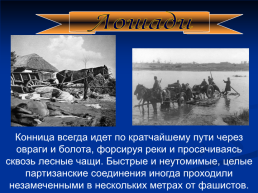 Роль животных в Великой Отечественной войне, слайд 16