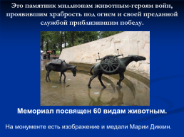 Роль животных в Великой Отечественной войне, слайд 37