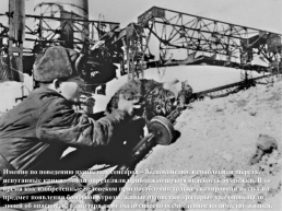 Подвиги животных во время Великой Отечественной войны, слайд 17