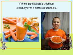Королева овощей- морковь!, слайд 20