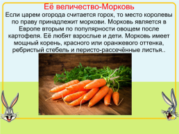 Королева овощей- морковь!, слайд 5