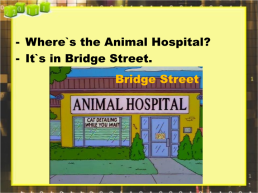 The animal Hospital, слайд 10