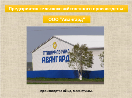 Проект «Экономика Рузаевского муниципального района», слайд 16