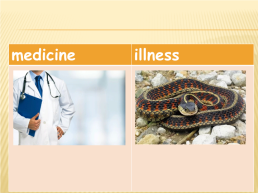 Health amp Medicine, слайд 16