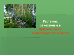 По страницам красной книги Нижегородской области, слайд 21