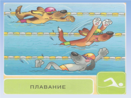 Летние виды спорта, слайд 9