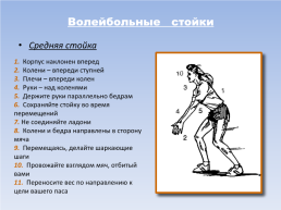 Спортивные игры (волейбол), слайд 8