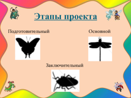 Педагогический проект «Птицы, насекомые – наши добрые знакомые», слайд 9