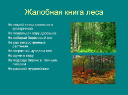 Что растет в лесу?, слайд 15