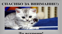 «Хочу все знать о кошках» для малышей, слайд 11