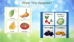 Овощи, слайд 9