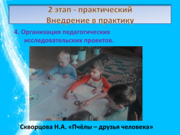 Познавательно-исследовательская деятельность детей дошкольного возраста, слайд 53