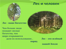 Я славлю лес!, слайд 3