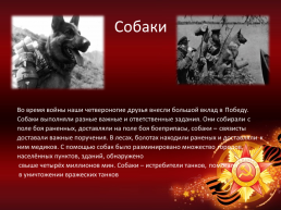 Животные – воины Великой отечественной войны, слайд 7