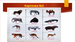 Природа. Дикие и домашние животные (с использованием классификации Глена Домана), слайд 12