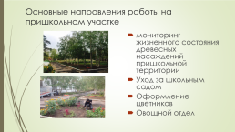 Ландшафтный дизайн пришкольного участка МАУО сош №19 г. Улан-Удэ, слайд 4