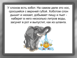 А. И. Куприн «Слон», слайд 7