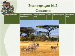 Разнообразие природы Африки, слайд 12