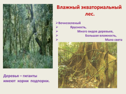 Тема урока: особенности природы Африки 7, слайд 31