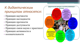 Проектная деятельность учителя начальных классов, слайд 8