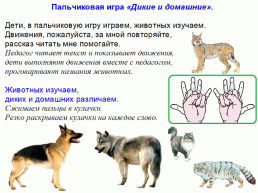 Дикие и домашние животные, слайд 2